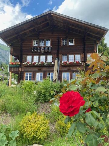 Buehl Lenk Apartment Exterior photo